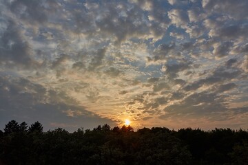 Sunset over distant trees