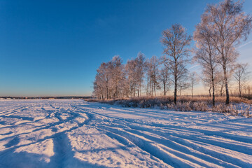 Sunset in winter field