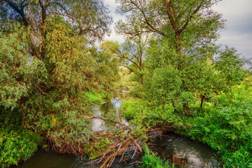 Summer field under gloomy sky