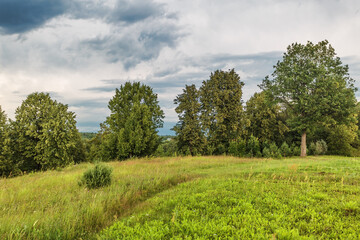 Summer field under gloomy sky