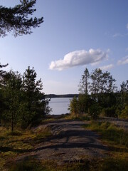 Fototapeta premium Naturschutzgebiet in Finnland, Kiefernwald und See