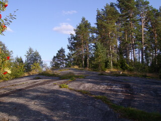 Fototapeta na wymiar Naturschutzgebiet in Finnland, Kiefernwald und See