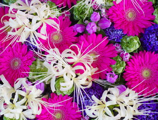 Beautiful colorful autumn floral background. Arrangement of white spider liliess and pink gerberas