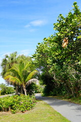 Fototapeta premium Beautiful Sanibel island beach in Fort Myers, Florida, USA