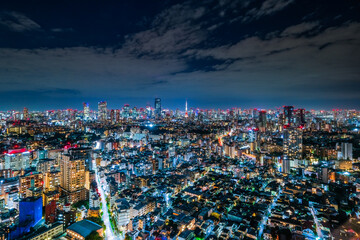 Fototapeta na wymiar 恵比寿ガーデンプレイス展望台からの東京の夜景