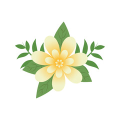 Yellow Flowers Illustration Designs Vectors