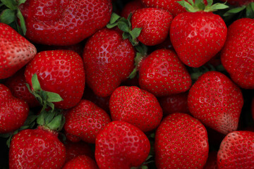Heap of ripe red strawberries as background, top view