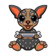 Cute australian cattle dog cartoon holding a bone