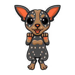 Cute australian cattle dog cartoon