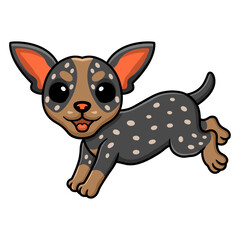 Cute australian cattle dog cartoon