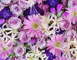 Beautiful colorful autumn floral background. Arrangement of white spider liliess and pink gerberas