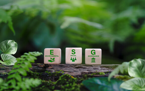 ESG Concept Of Environmental, Social And Governance.words ESG On A Woodblock It Is An Idea For Sustainable Organizational Development. ​account The Environment, Society And Corporate Governance