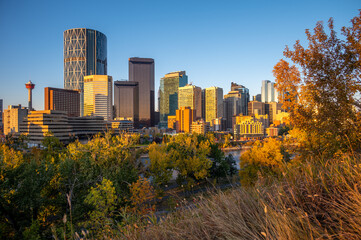 Obraz premium Calgary's beautiful skyline on early morning in the heart of autumn with fall colours on the trees.