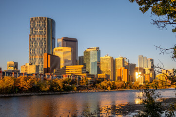 Calgary's beautiful skyline on early morning in the heart of autumn with fall colours on the trees.