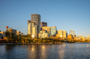 Fototapeta na wymiar Calgary's beautiful skyline on early morning in the heart of autumn with fall colours on the trees.