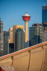 Calgary's beautiful skyline on early morning in the heart of autumn with fall colours on the trees.