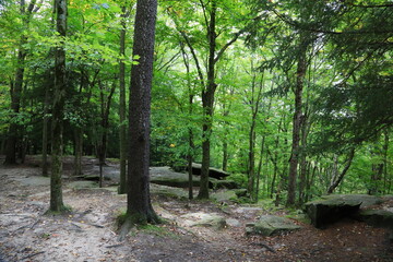 Cuyahoga valley national park in Ohio 