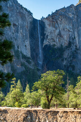 Early summer morning walk in Yosemite National Park, California