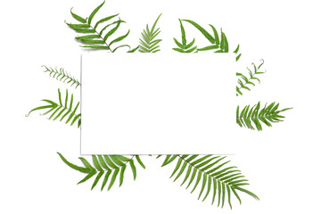 Fern leaves with copy space for text