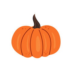 Pumpkin Illustration