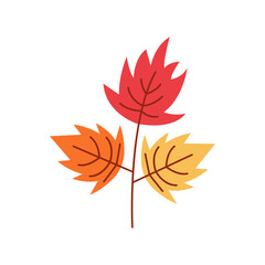 Fototapeta premium Autumn Maple Leaf Illustration
