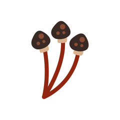 Autumn Floral Mushroom Illustration