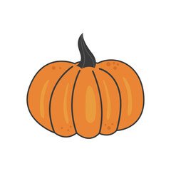 Pumpkin Illustration