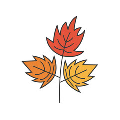 Autumn Maple Leaf Illustration