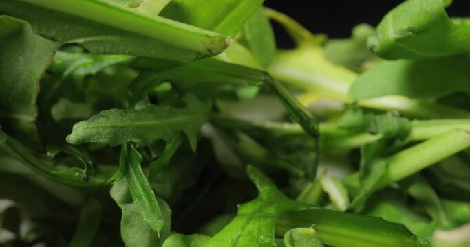Fresh green salad macro with probe lens