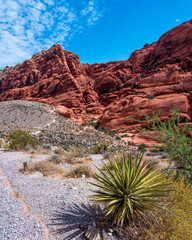 Red Rock Canyon on a Summer Day