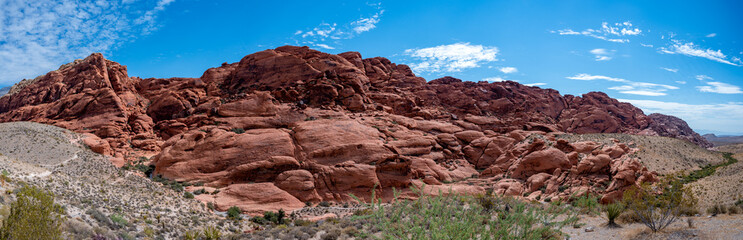 Fototapeta premium Red Rock Canyon on a Summer Day
