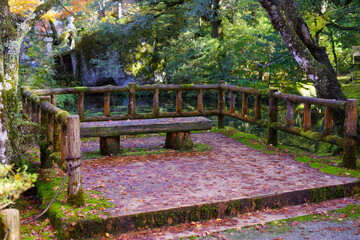 日本の公園の秋の落ち葉