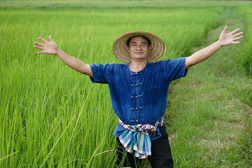 Happy Asian man farmer is at green paddy field, wears hat, blue shirt, raises two hands up. concept : Agriculture occupation. Organic farming. 