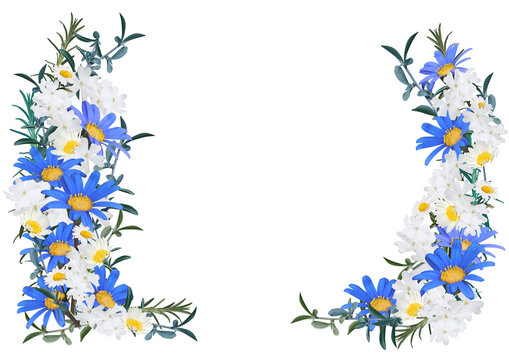 デイジー Images Browse 29 158 Stock Photos Vectors And Video Adobe Stock