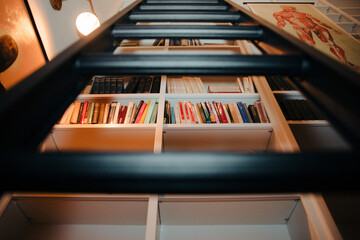 Multi-Floor Library with Ladder