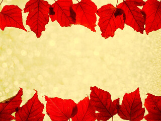 Border composition of red colored autumn maple leaves falling on yellow bokeh background with copy...