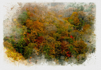 日本の紅葉の風景、赤く染まった秋の山、日本の秋の風景、カラフルな紅葉で染まった林