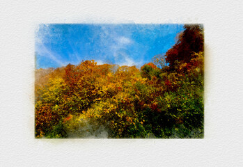 日本の紅葉の風景、赤く染まった秋の山、日本の秋の風景、カラフルな紅葉で染まった林