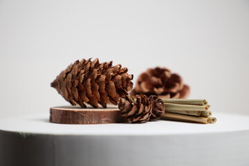Acorns, pinecones backdrop