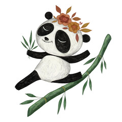 Cute panda pencil color illustration © floral