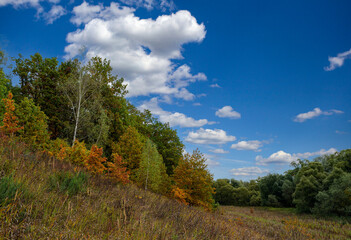 Fototapeta na wymiar Panoramic landscape of autumn forest and blue sky