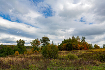 Obraz premium Panoramic landscape of autumn forest and blue sky