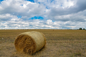 Mowed field of wheat against a cloudy sky