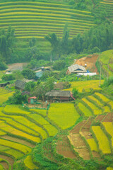 Aerial view of golden rice terraces at Mu cang chai town near Sapa city, north of Vietnam. Beautiful terraced rice field in harvest season in Yen Bai, Vietnam