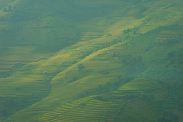 Aerial view of golden rice terraces at Mu cang chai town near Sapa city, north of Vietnam. Beautiful terraced rice field in harvest season in Yen Bai, Vietnam