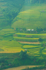 Aerial view of golden rice terraces at Mu cang chai town near Sapa city, north of Vietnam. Beautiful terraced rice field in harvest season in Yen Bai, Vietnam