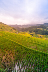 Obraz premium Aerial view of golden rice terraces at Mu cang chai town near Sapa city, north of Vietnam. Beautiful terraced rice field in harvest season in Yen Bai, Vietnam