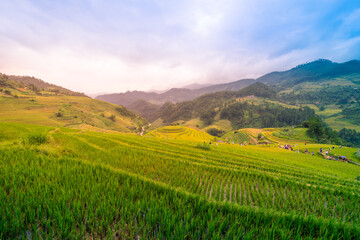 Fototapeta premium Aerial view of golden rice terraces at Mu cang chai town near Sapa city, north of Vietnam. Beautiful terraced rice field in harvest season in Yen Bai, Vietnam
