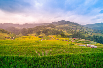 Obraz premium Aerial view of golden rice terraces at Mu cang chai town near Sapa city, north of Vietnam. Beautiful terraced rice field in harvest season in Yen Bai, Vietnam