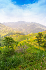 Obraz premium Aerial view of golden rice terraces at Mu cang chai town near Sapa city, north of Vietnam. Beautiful terraced rice field in harvest season in Yen Bai, Vietnam